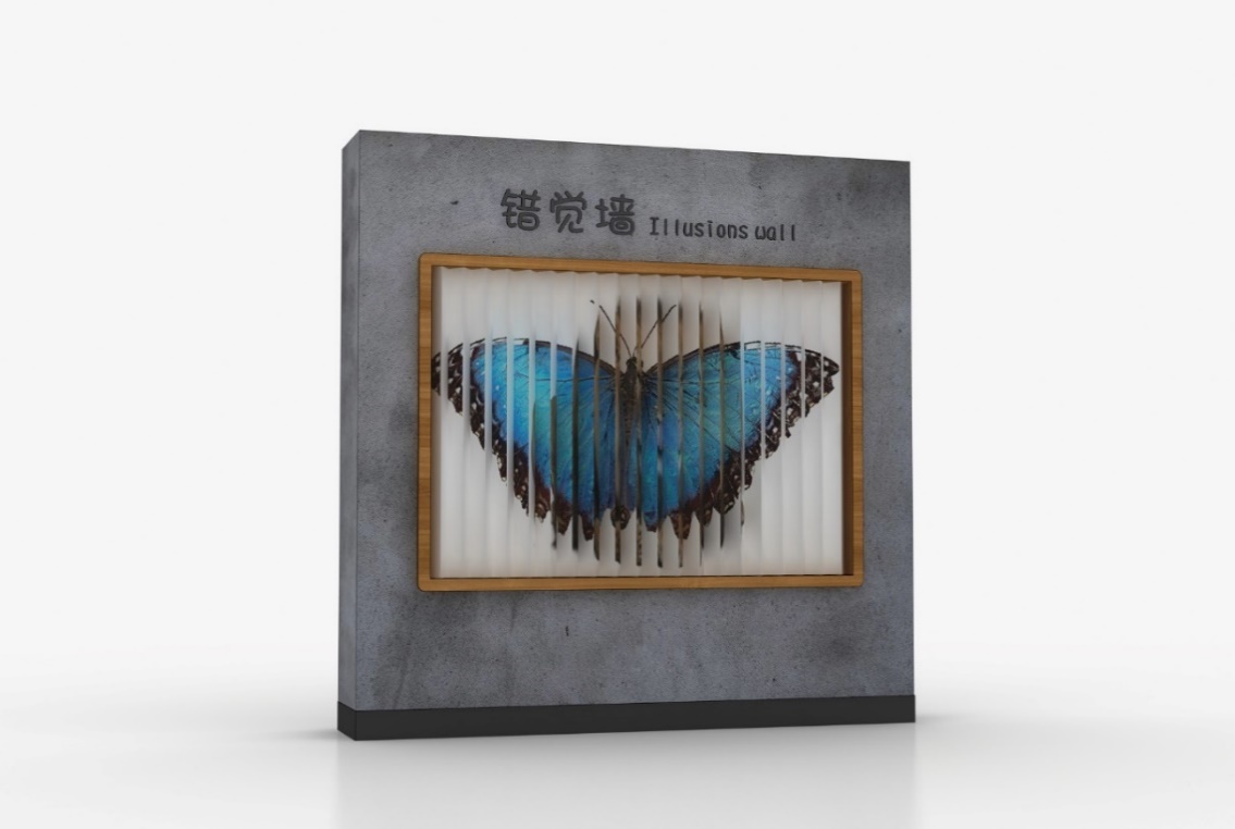 狮子与蝴蝶
